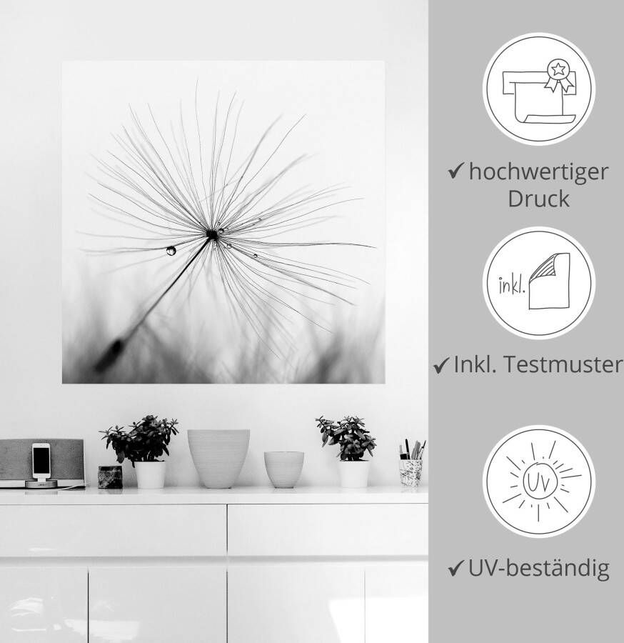 Artland Artprint Pluizenbol pluimen als artprint van aluminium artprint voor buiten artprint op linnen poster muursticker