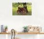 Artland Artprint Pony Moedersgeluk als artprint van aluminium artprint voor buiten artprint op linnen poster muursticker - Thumbnail 3