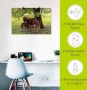 Artland Artprint Pony Moedersgeluk als artprint van aluminium artprint voor buiten artprint op linnen poster muursticker - Thumbnail 4