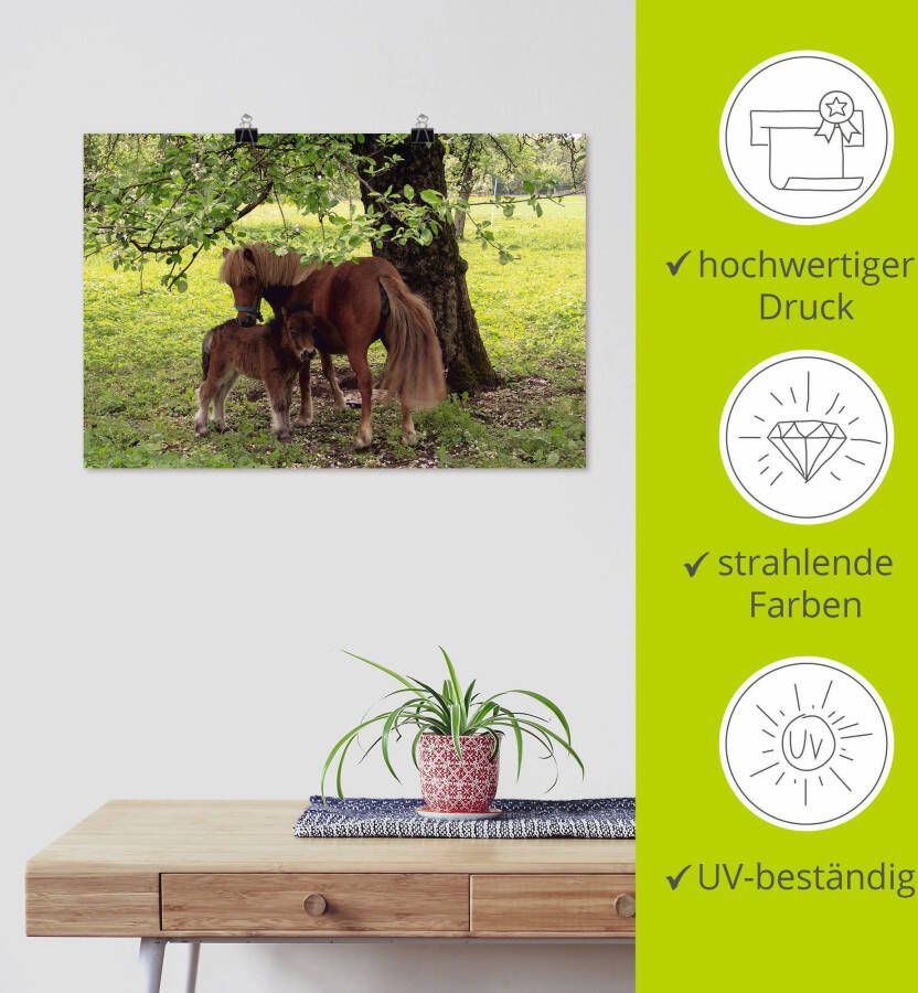 Artland Artprint Pony Moedersgeluk als artprint van aluminium artprint voor buiten artprint op linnen poster muursticker