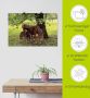 Artland Artprint Pony Moedersgeluk als artprint van aluminium artprint voor buiten artprint op linnen poster muursticker - Thumbnail 5