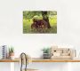 Artland Artprint Pony Moedersgeluk als artprint van aluminium artprint voor buiten artprint op linnen poster muursticker - Thumbnail 2