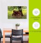 Artland Artprint Pony Moedersgeluk als artprint van aluminium artprint voor buiten artprint op linnen poster muursticker - Thumbnail 4