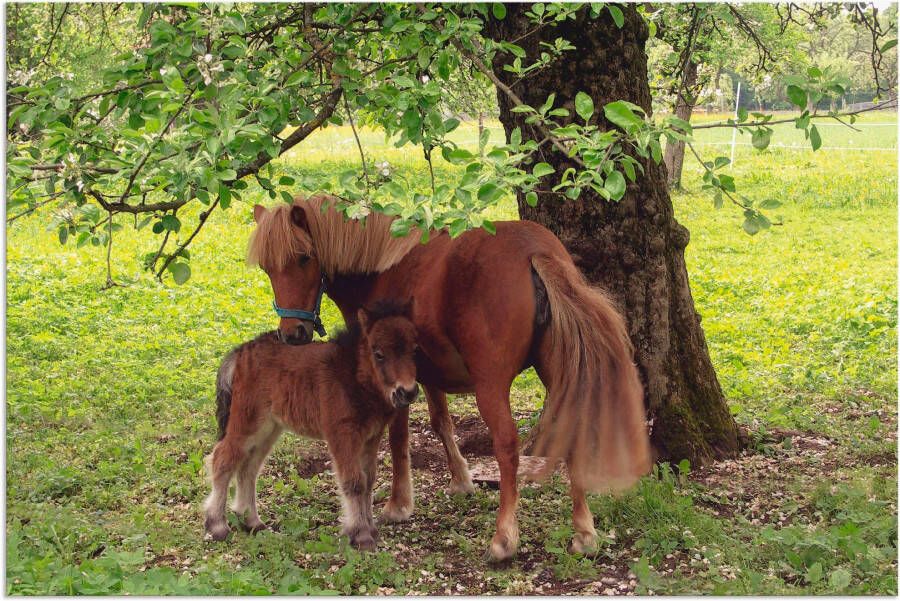 Artland Artprint Pony Moedersgeluk als artprint van aluminium artprint voor buiten artprint op linnen poster muursticker