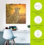 Artland Artprint Portret cheeta als artprint van aluminium artprint voor buiten poster in diverse formaten - Thumbnail 4