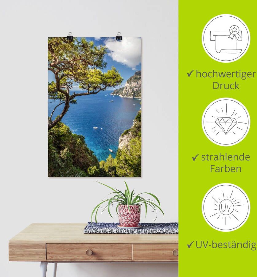 Artland Artprint Punta de Masullo eiland capri Italië als artprint van aluminium artprint voor buiten artprint op linnen poster muursticker