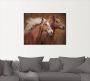 Artland Artprint Raszuivere paarden I als artprint op linnen poster muursticker in verschillende maten - Thumbnail 2