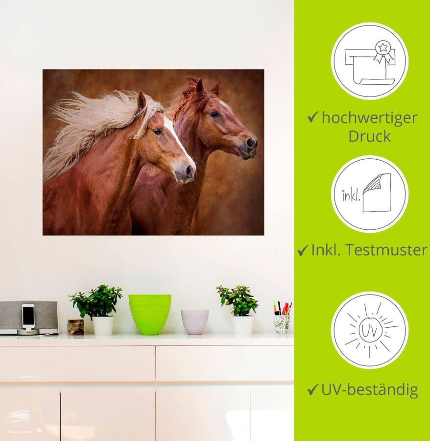 Artland Artprint Raszuivere paarden I als artprint op linnen poster muursticker in verschillende maten