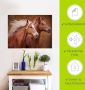 Artland Artprint Raszuivere paarden I als artprint op linnen poster muursticker in verschillende maten - Thumbnail 5