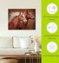 Artland Artprint Raszuivere paarden I als artprint op linnen poster muursticker in verschillende maten - Thumbnail 5