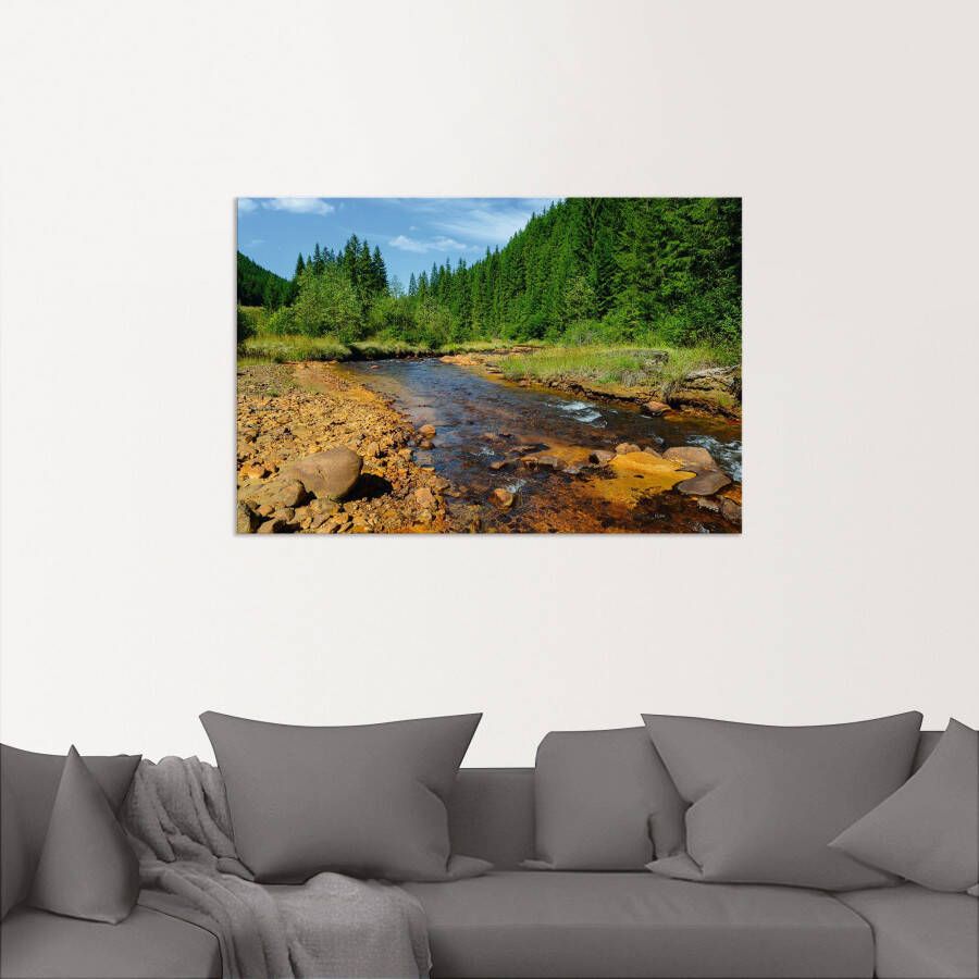 Artland Artprint Rivier Neagra Caliman-nationaalpark als artprint van aluminium artprint voor buiten poster in diverse formaten