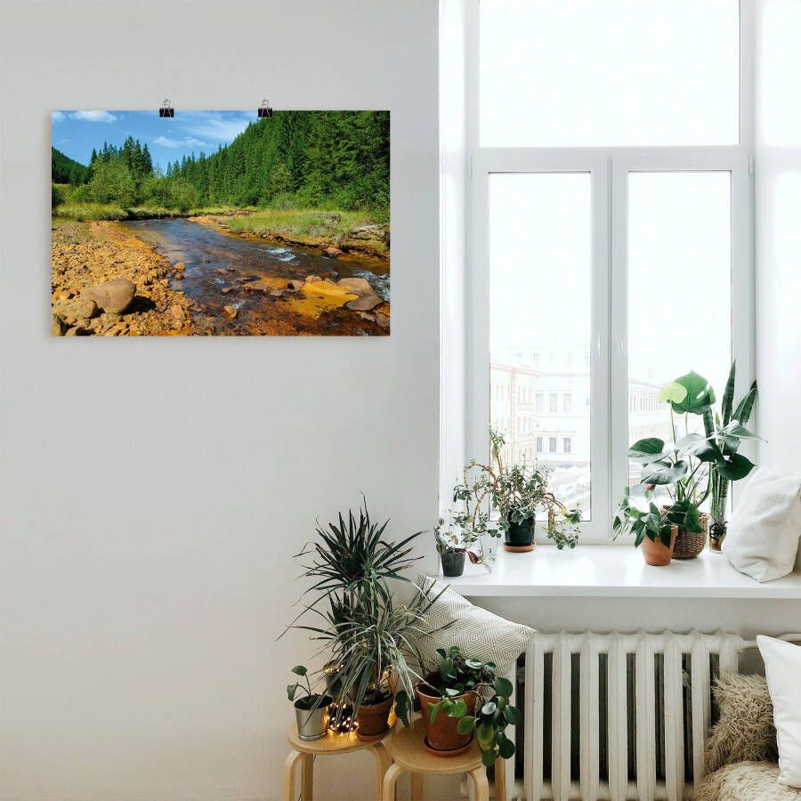 Artland Artprint Rivier Neagra Caliman-nationaalpark als artprint van aluminium artprint voor buiten poster in diverse formaten