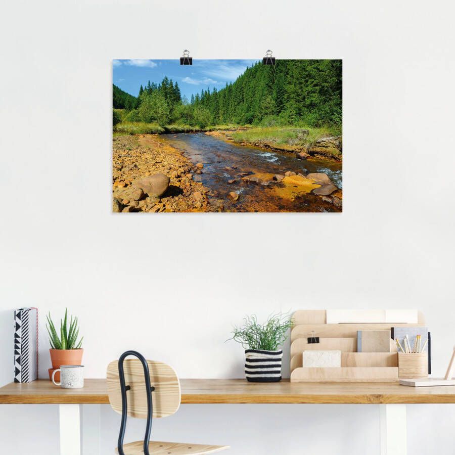 Artland Artprint Rivier Neagra Caliman-nationaalpark als artprint van aluminium artprint voor buiten poster in diverse formaten