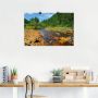 Artland Artprint Rivier Neagra Caliman-nationaalpark als artprint van aluminium artprint voor buiten poster in diverse formaten - Thumbnail 3