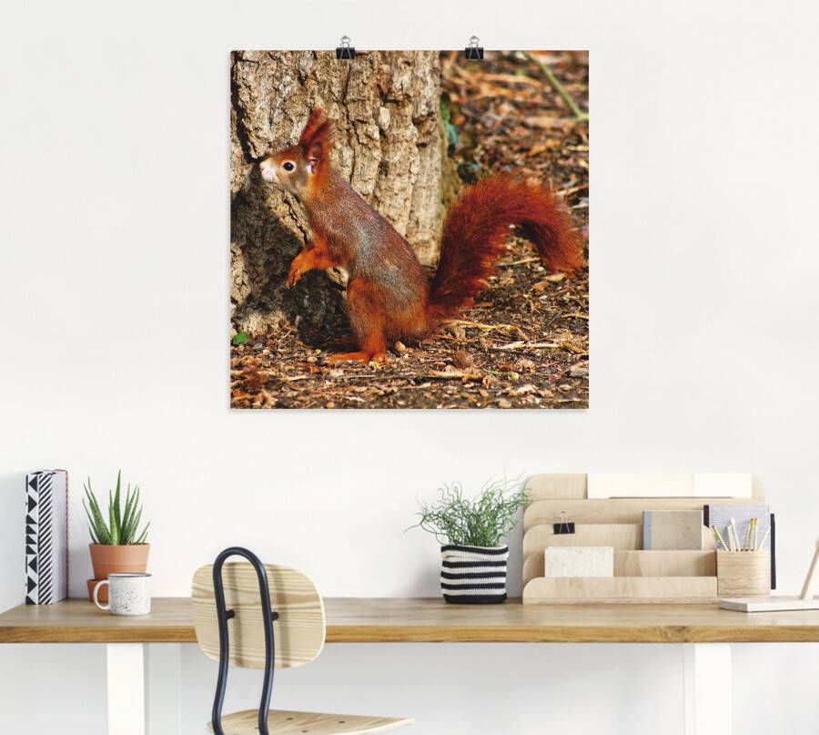 Artland Artprint Rode eekhoorntje wil naar boven als poster muursticker in verschillende maten