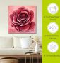 Artland Artprint Rode roos met de hand geschilderd als artprint van aluminium artprint op linnen muursticker verschillende maten - Thumbnail 4