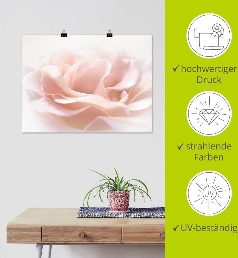 Artland Artprint Roos I als artprint van aluminium artprint voor buiten artprint op linnen poster muursticker