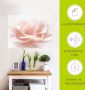 Artland Artprint Roos I als artprint van aluminium artprint voor buiten artprint op linnen poster muursticker - Thumbnail 5