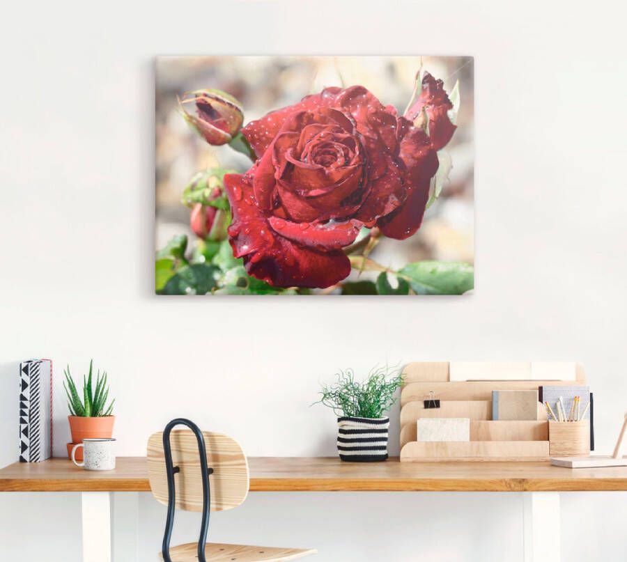 Artland Artprint Roos met druppels als artprint op linnen poster muursticker in verschillende maten