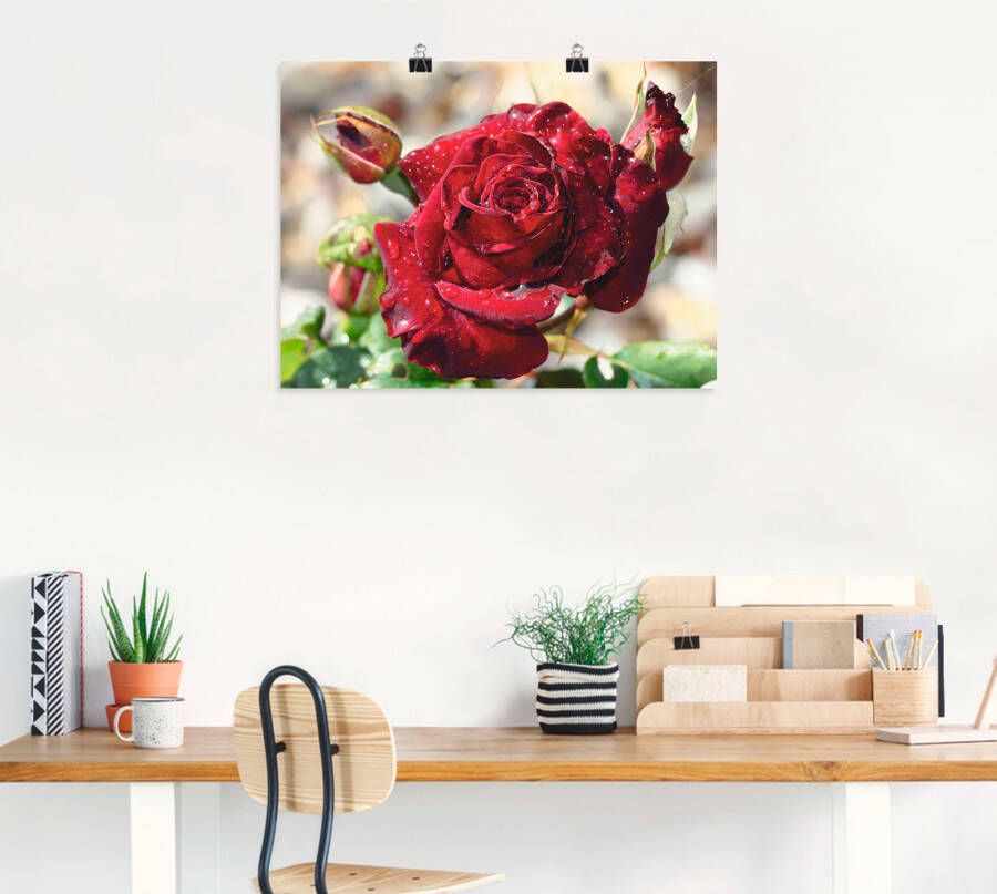 Artland Artprint Roos met druppels als artprint op linnen poster muursticker in verschillende maten