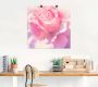 Artland Artprint Roze als artprint op linnen poster muursticker in verschillende maten - Thumbnail 3