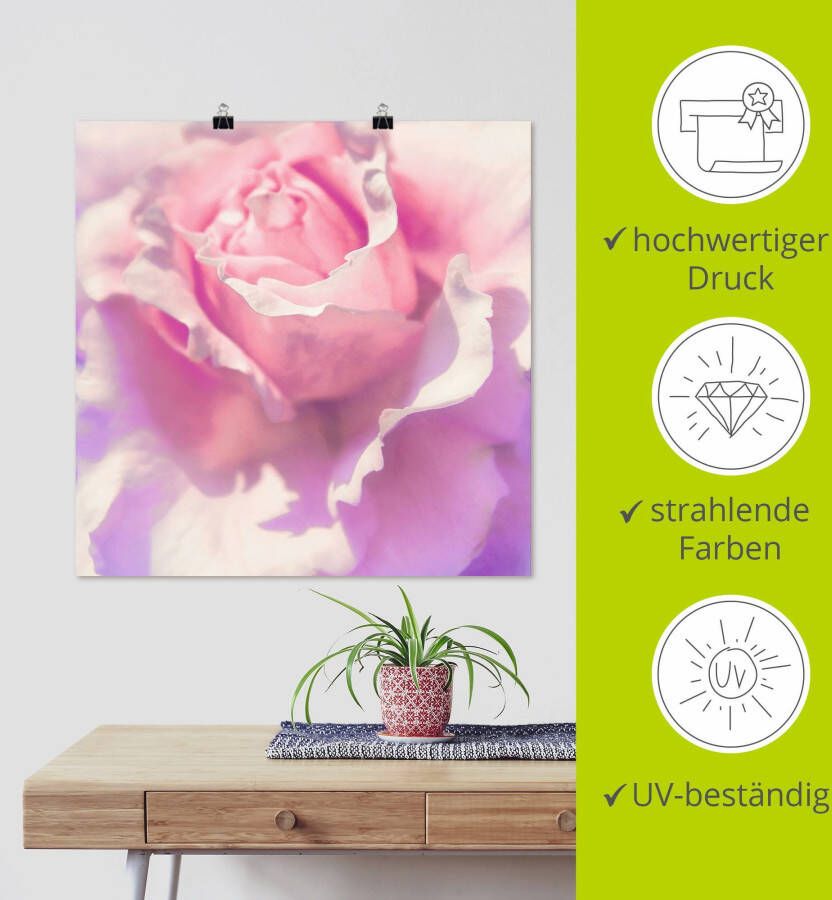 Artland Artprint Roze als artprint op linnen poster muursticker in verschillende maten