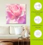 Artland Artprint Roze als artprint op linnen poster muursticker in verschillende maten - Thumbnail 4