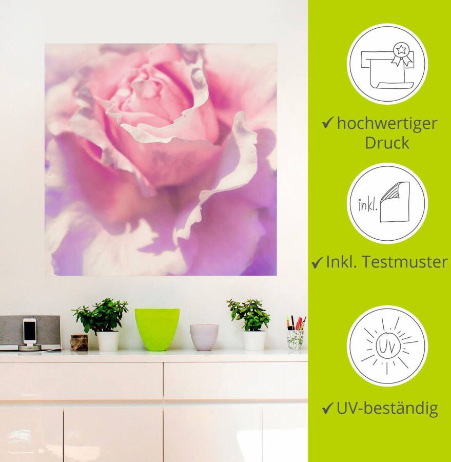 Artland Artprint Roze als artprint op linnen poster muursticker in verschillende maten