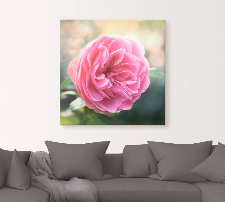 Artland Artprint Roze roos in tegenlicht als artprint op linnen in verschillende maten