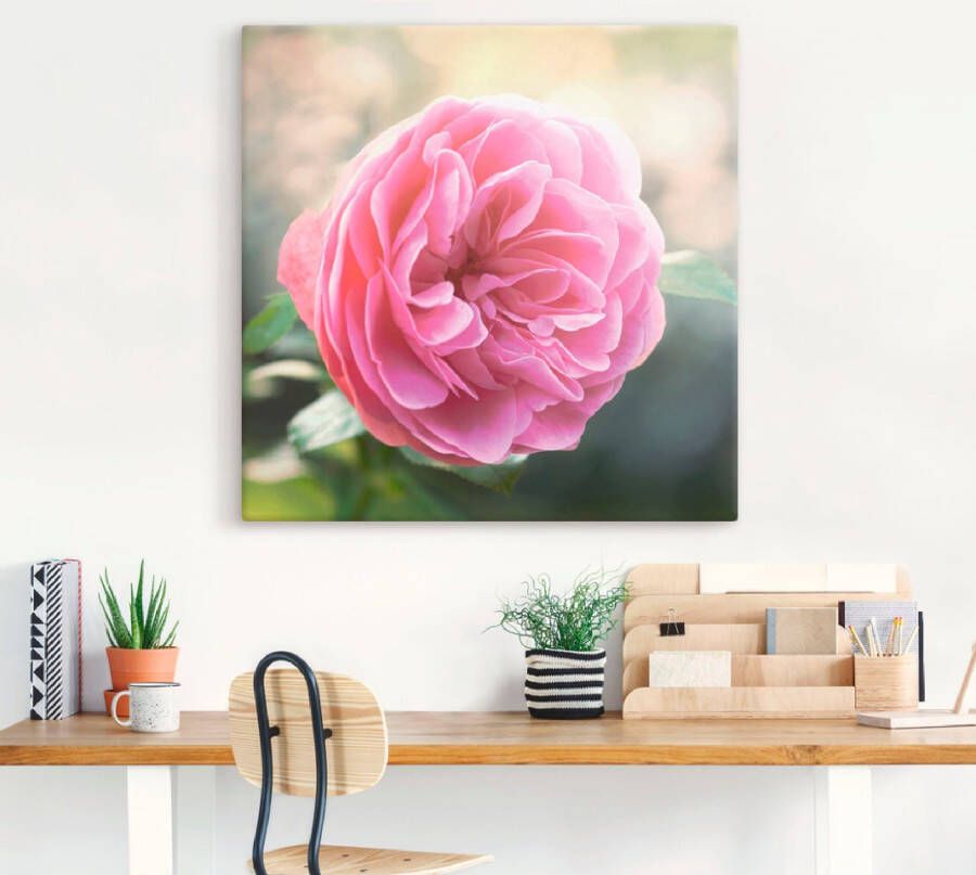 Artland Artprint Roze roos in tegenlicht als artprint op linnen in verschillende maten