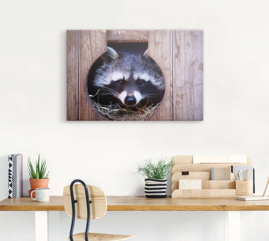 Artland Artprint Schattige kleine wasbeer als artprint op linnen muursticker in verschillende maten