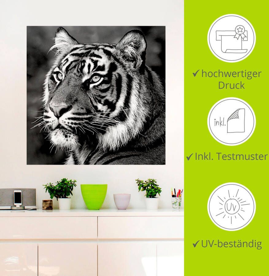 Artland Artprint Tijger als artprint op linnen poster muursticker in verschillende maten