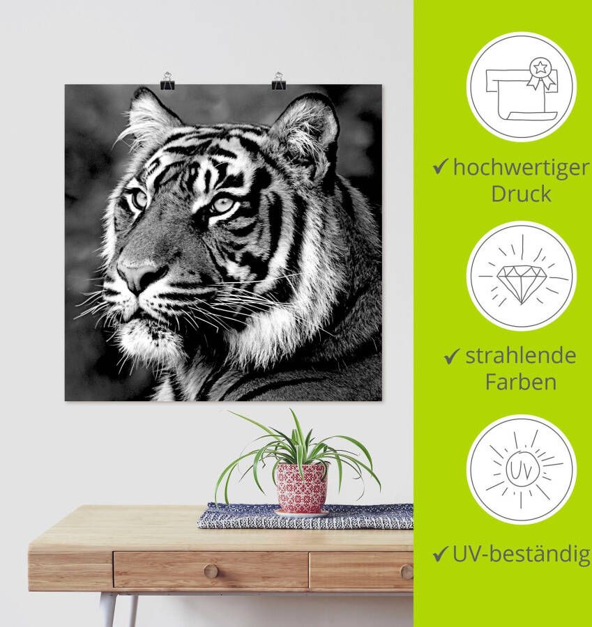 Artland Artprint Tijger als artprint op linnen poster muursticker in verschillende maten