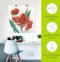 Artland Artprint Tulpen I als artprint op linnen poster in verschillende formaten maten - Thumbnail 5