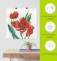 Artland Artprint Tulpen I als artprint op linnen poster in verschillende formaten maten - Thumbnail 6