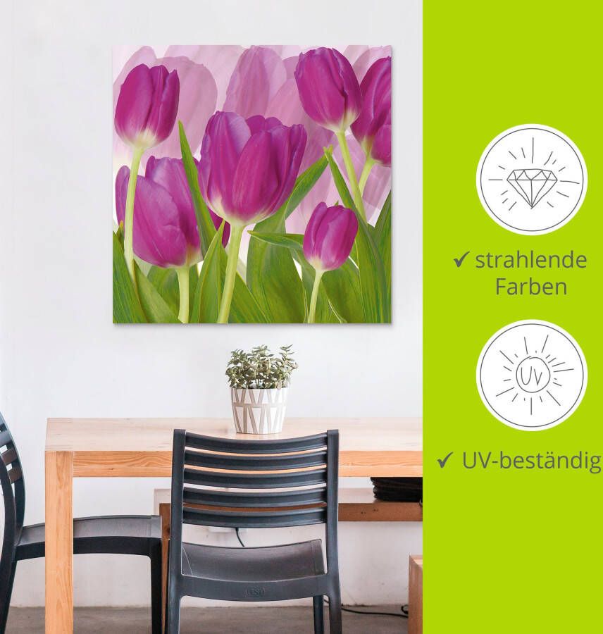 Artland Artprint Tulpenveld paars als artprint van aluminium artprint voor buiten artprint op linnen in verschillende maten