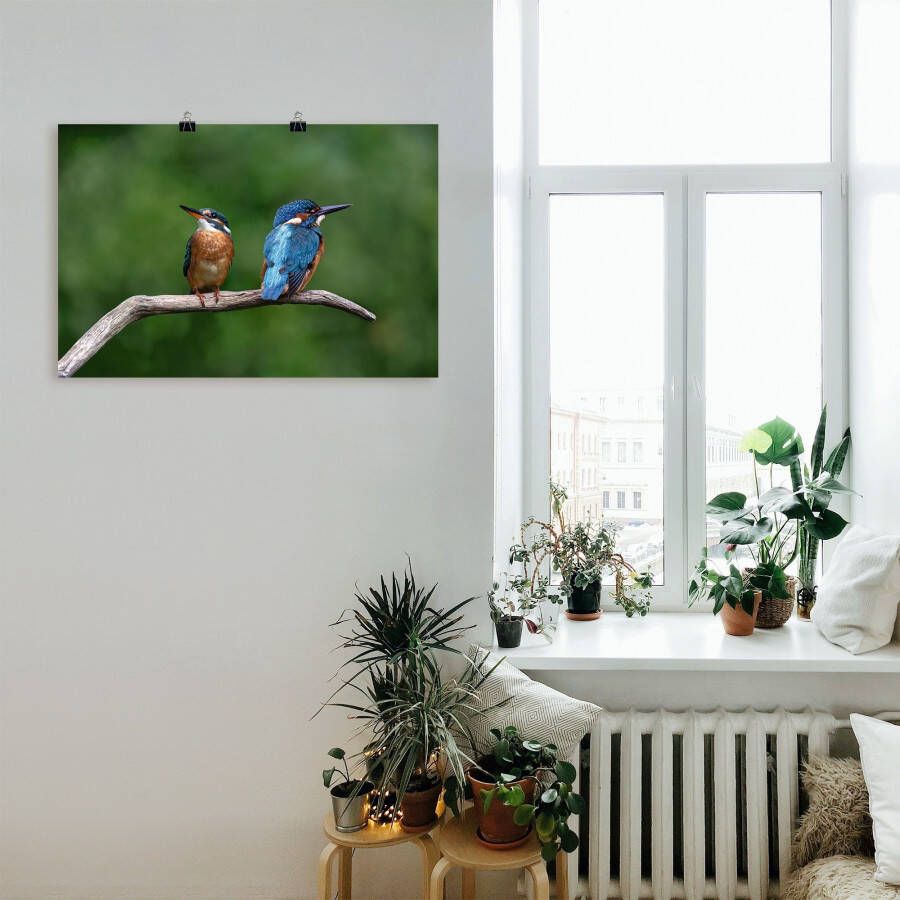 Artland Artprint Twee ijsvogels als artprint van aluminium artprint voor buiten poster in diverse formaten