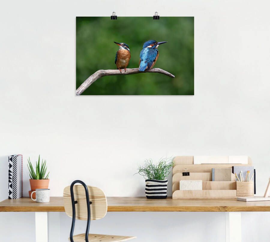 Artland Artprint Twee ijsvogels als artprint van aluminium artprint voor buiten poster in diverse formaten