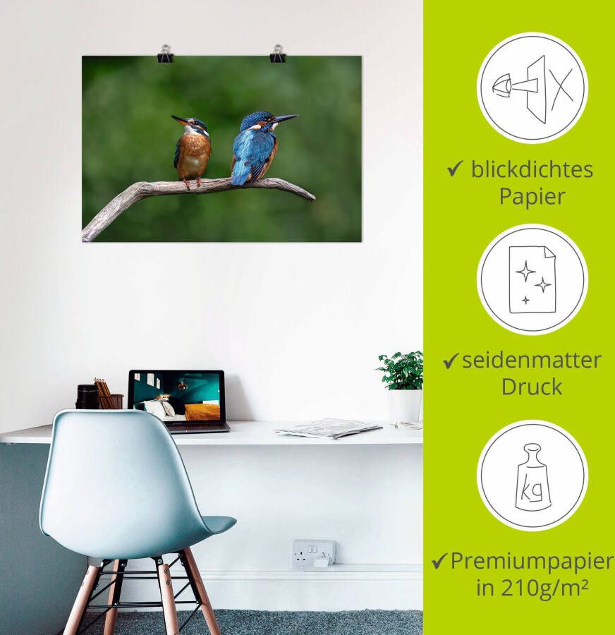 Artland Artprint Twee ijsvogels als artprint van aluminium artprint voor buiten poster in diverse formaten