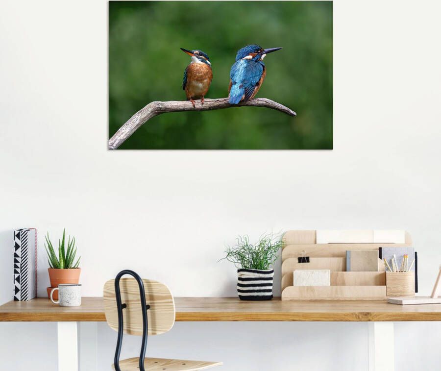 Artland Artprint Twee ijsvogels als artprint van aluminium artprint voor buiten poster in diverse formaten