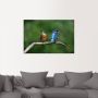 Artland Artprint Twee ijsvogels als artprint van aluminium artprint voor buiten poster in diverse formaten - Thumbnail 4