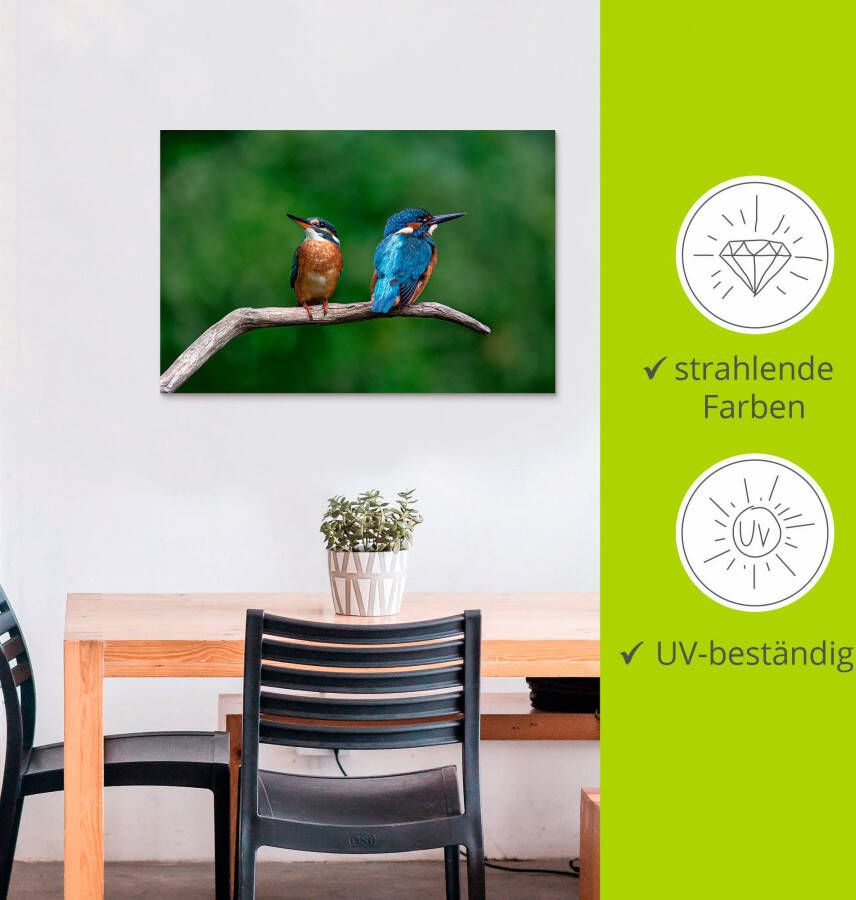 Artland Artprint Twee ijsvogels als artprint van aluminium artprint voor buiten poster in diverse formaten