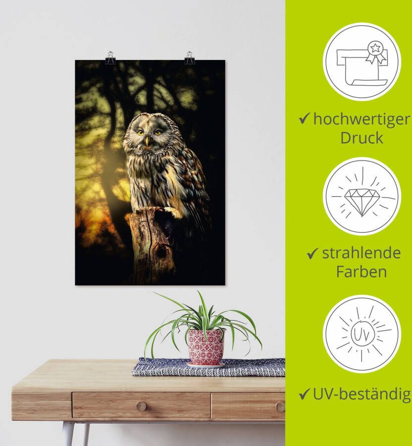 Artland Artprint Uil als artprint van aluminium artprint voor buiten artprint op linnen poster in verschillende maten. maten