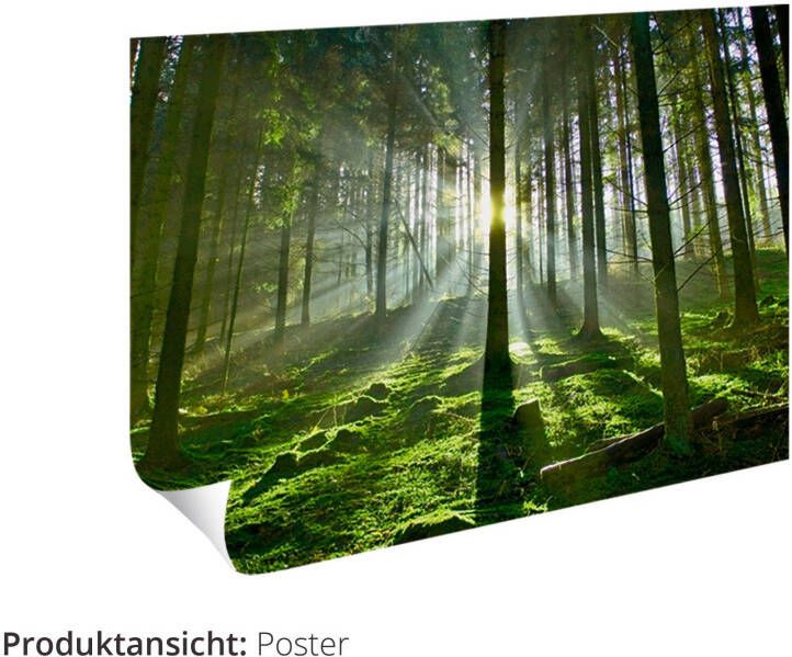Artland Artprint Uil in ondergesneeuwd bos als artprint op linnen poster in verschillende formaten maten