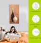 Artland Artprint Vaas met smalle hals als artprint van aluminium artprint op linnen muursticker verschillende maten - Thumbnail 6