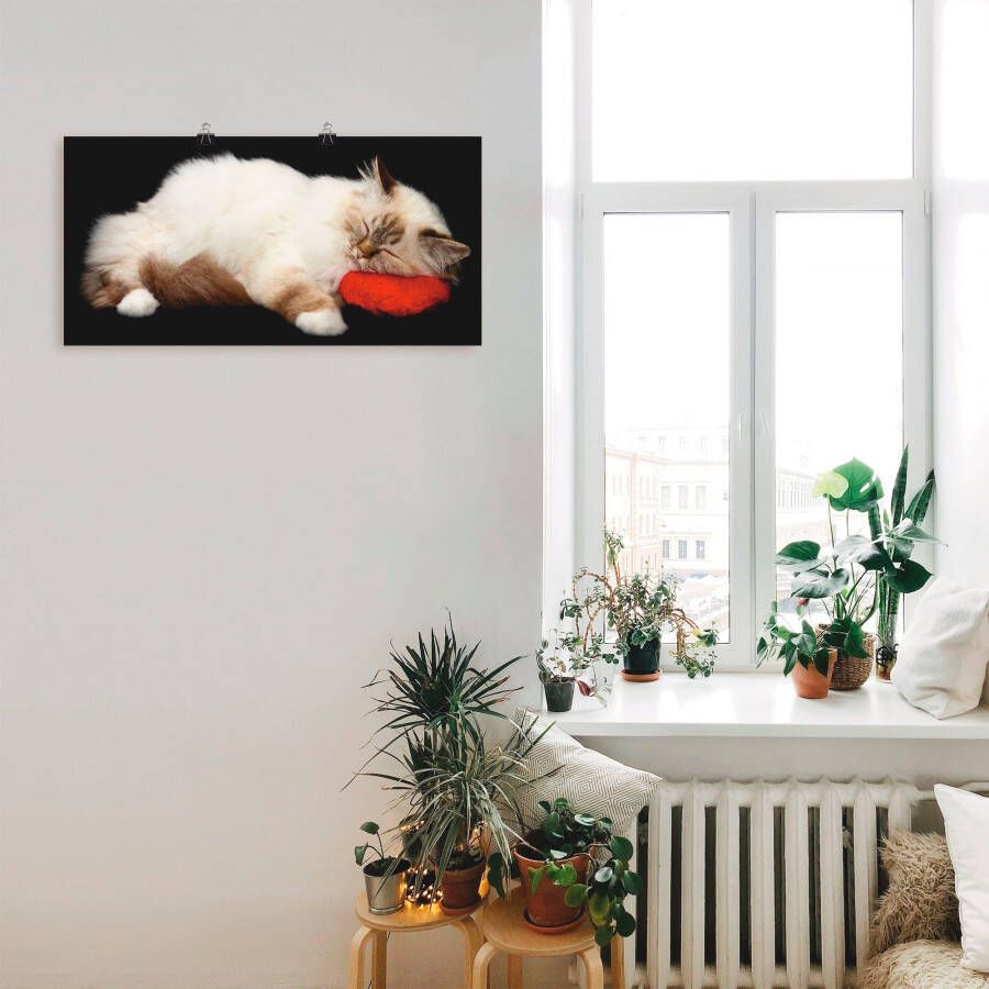 Artland Artprint Vermoeide kat als artprint op linnen poster muursticker in verschillende maten