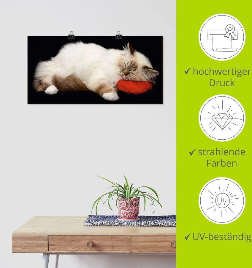 Artland Artprint Vermoeide kat als artprint op linnen poster muursticker in verschillende maten