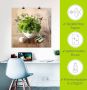 Artland Artprint Verschillende kruiden keuken als artprint van aluminium artprint voor buiten artprint op linnen poster muursticker - Thumbnail 5