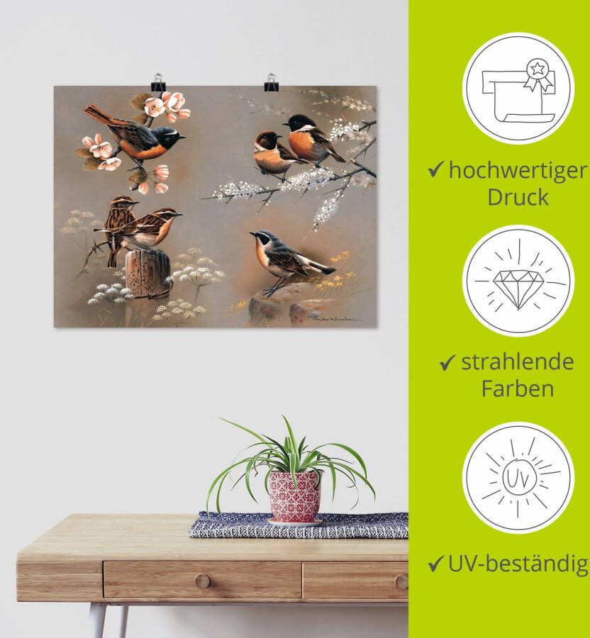 Artland Artprint Vogel compositie als artprint op linnen poster in verschillende formaten maten