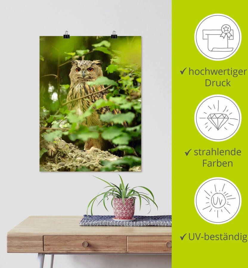 Artland Artprint Vogel oehoe als artprint op linnen poster in verschillende formaten maten